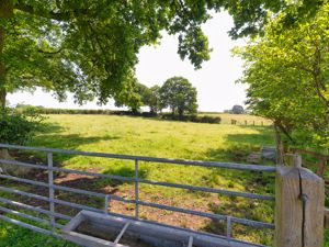 Photo 31- click for photo gallery